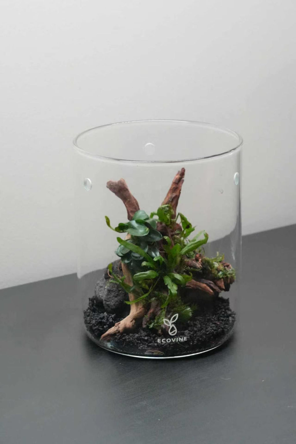 SPECIAL EVENT: Aquarium Workshop — Create Your Own mini aquarium