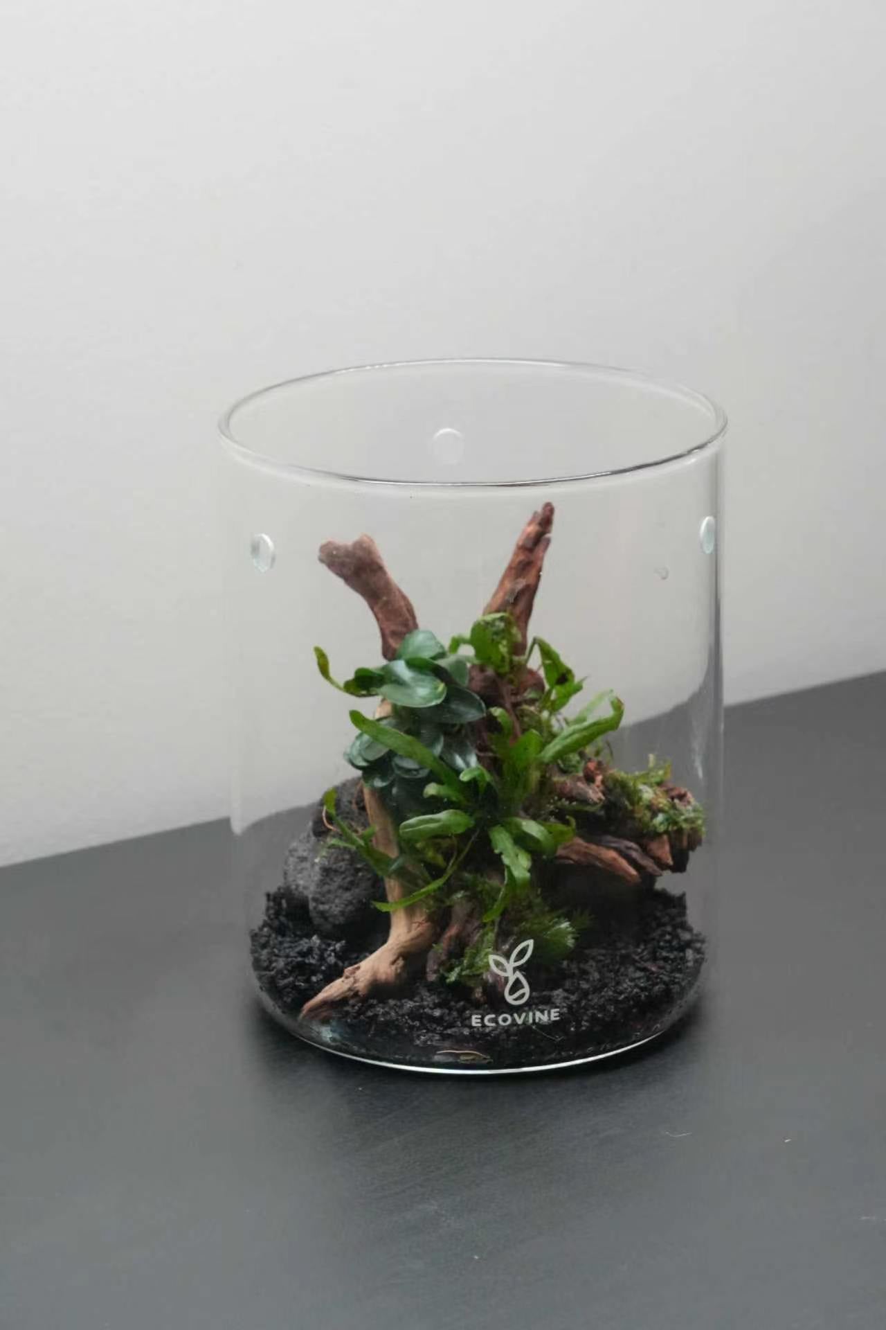 SPECIAL EVENT: Aquarium Workshop — Create Your Own mini aquarium