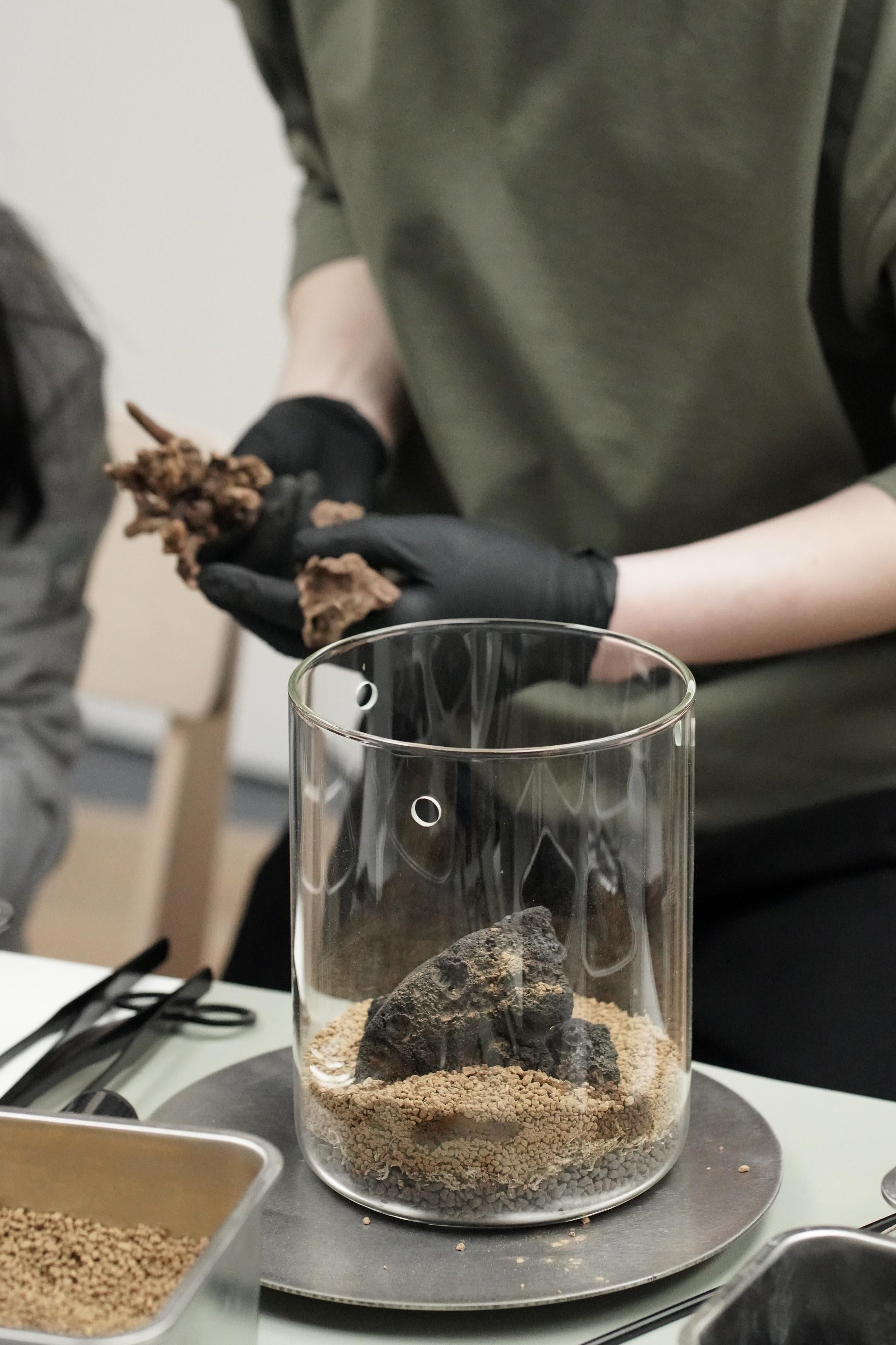 Terrarium Workshop at Mystik Café | Kensington Market, Toronto