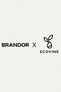 Terrarium Workshop at BRANDOR COFFEE  | Downtown, Toronto